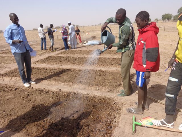 Abdoulaye showing proper watering technique